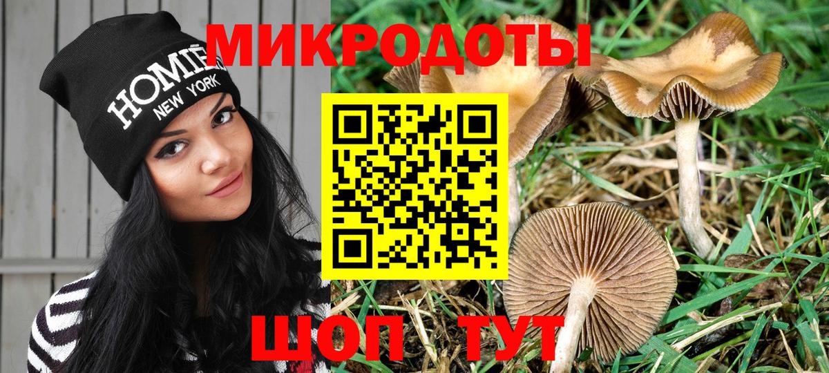 Галлюциногенные грибы мухоморы Асбест
